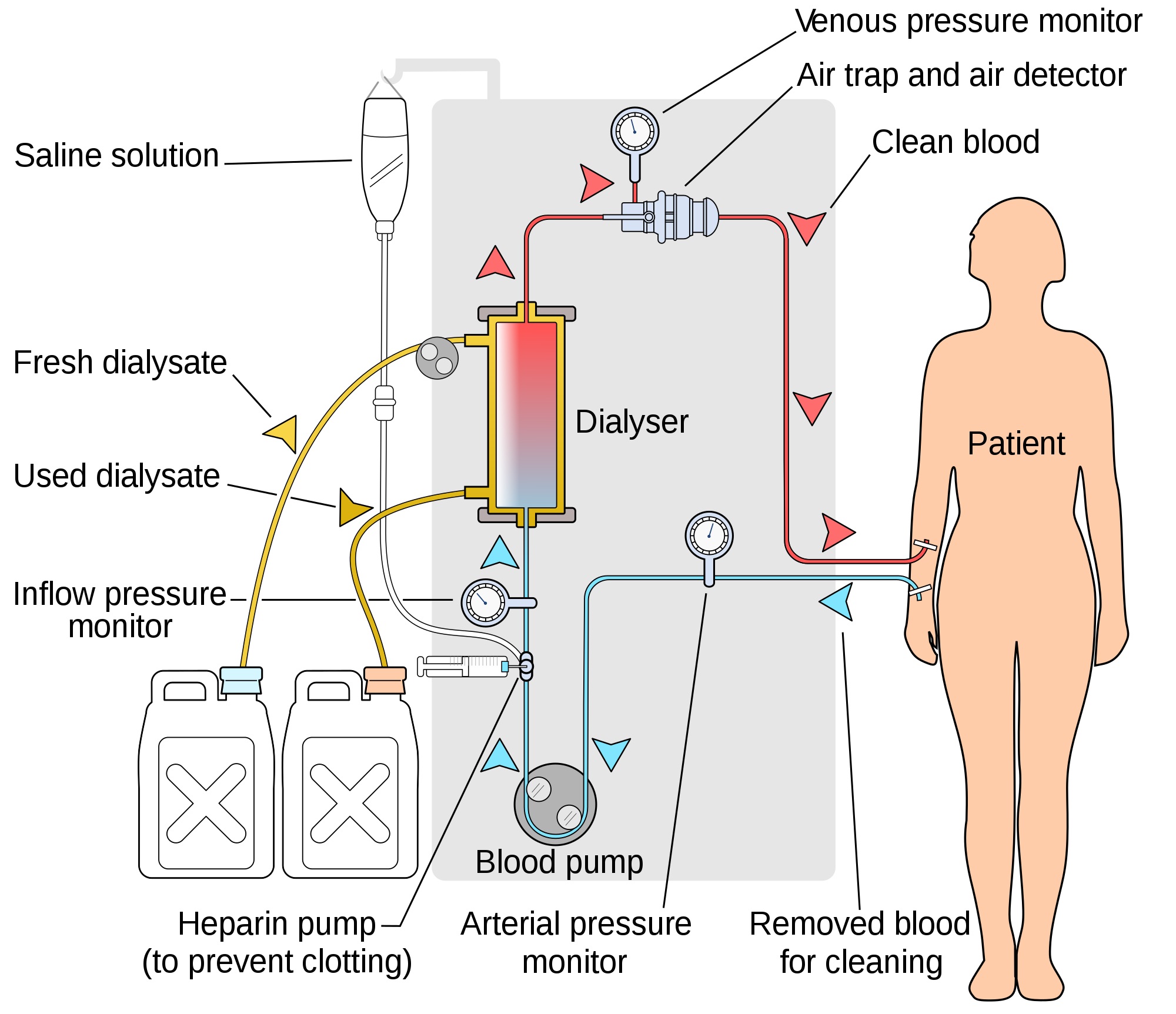 Infection Prevention in Hemodialysis Settings Online Course